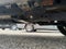 2019 Ford F-350SD Platinum